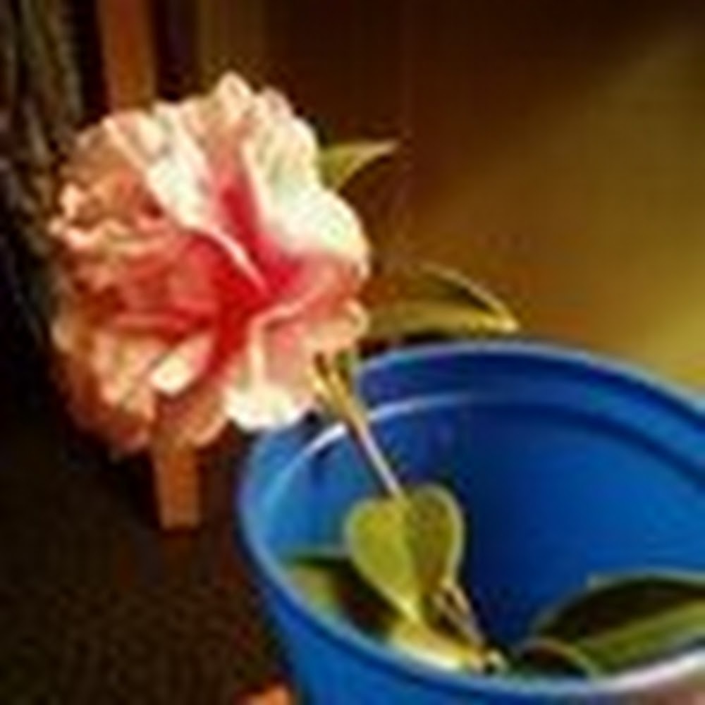 Meet your Posher, Kristen